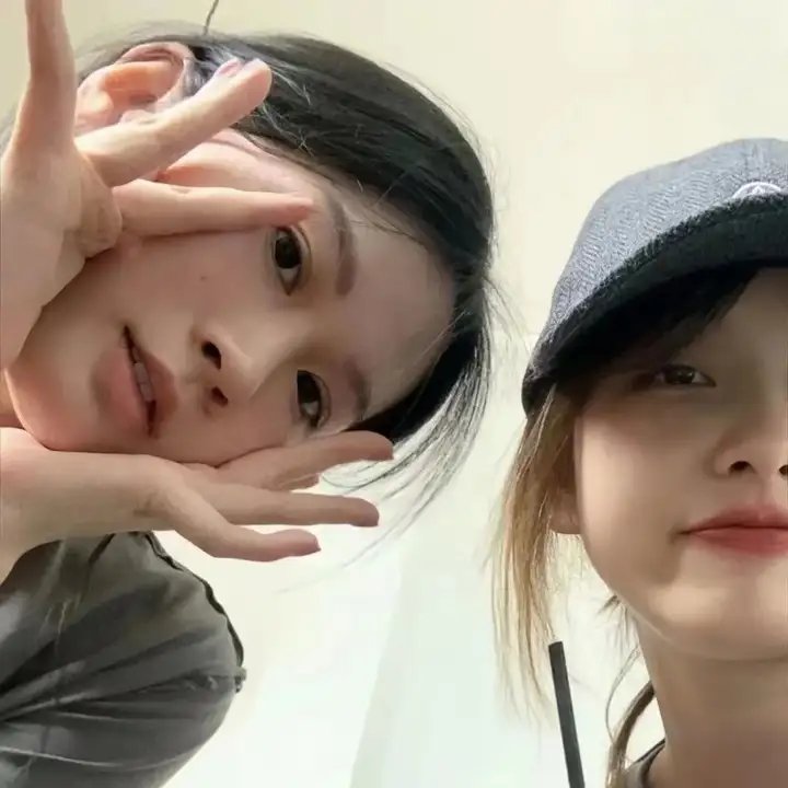 恐龙凶面目 封面
